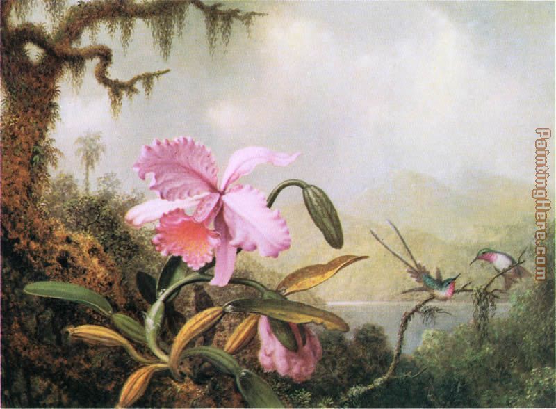 Orchids and Hummingbirds near a Mountain Lake painting - Martin Johnson Heade Orchids and Hummingbirds near a Mountain Lake art painting